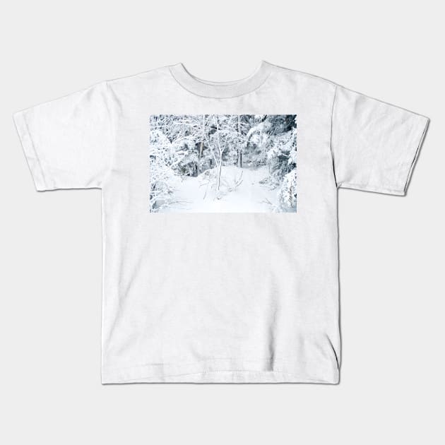 Powder Day Kids T-Shirt by srwdesign